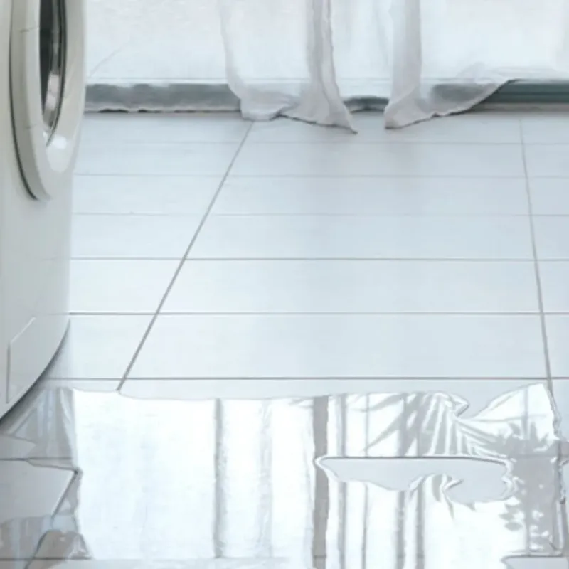 Appliance Leak Cleanup in Newberry, FL