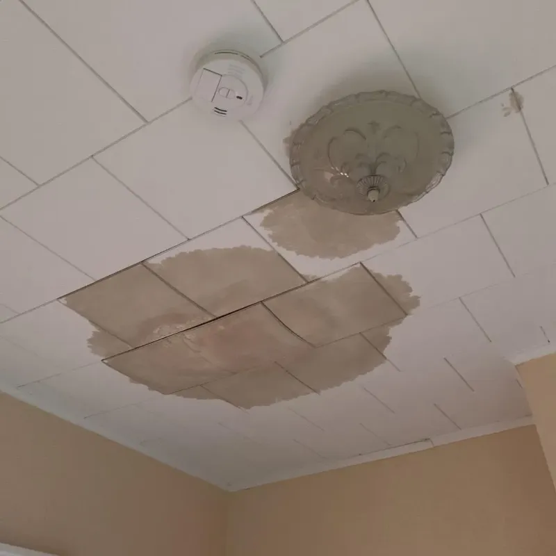 Ceiling Water Damage Repair in Newberry, FL